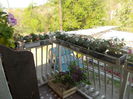 DSCN5451