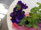 DSCN5457