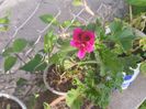 20150424_182326
