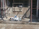 P4250060