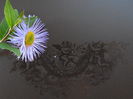 P6190971