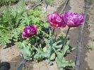 DSCN9302