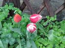 20150418_180825