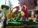 P1130124