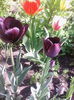 IMG_20150425_113702