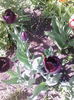 IMG_20150424_161014