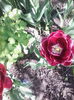 IMG_20150424_160928