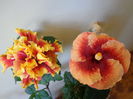 DSC06596