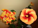 DSC06610
