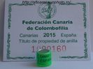 fcc canaria espana 2015