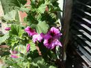 20150426_142346