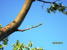 IMG_0054