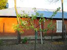 IMG_0079