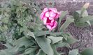 20150412_182353