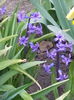 IMG_20150328_120344