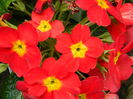 DSCN4543