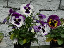 DSCN4552
