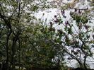 DSCN4575
