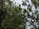 DSCN4576