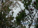 DSCN4577