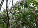 DSCN4578
