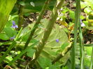 DSCN4597