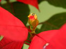 DSCN4623
