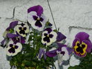 DSCN4645