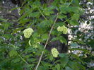 DSCN4657