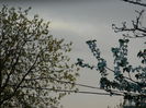 DSCN4661