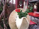 IMG_20150426_173721