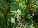DSCN5106