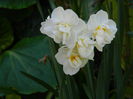 DSCN5108