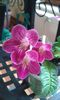 20150419_185041