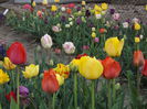DSCF6394
