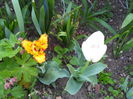 DSCN6068