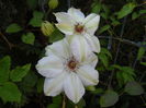 DSCN6070
