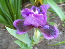 DSCN6091