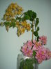 DSC00385
