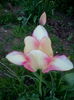 IMG_20150426_103758