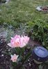DSC05952