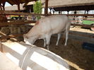 DSCN0079