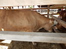 DSCN0081