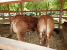DSCN0082