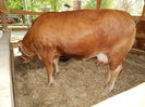 DSCN0083