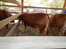 DSCN0086