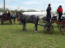 DSCN0266