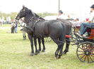 DSCN0273