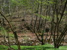 DSC00299