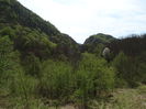DSC00302